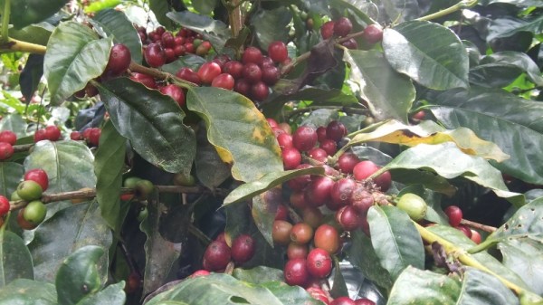 DSCF7046 (800x450)-www_MarekBennett_com