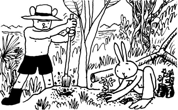 Ometepe-Papaya-w=800-www_MarekBennett_com