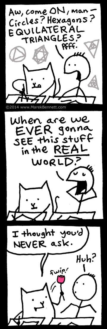 flower-01-TALL-02-www_MarekBennett_com