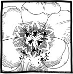 flower-02-LARGE-www_MarekBennett_com