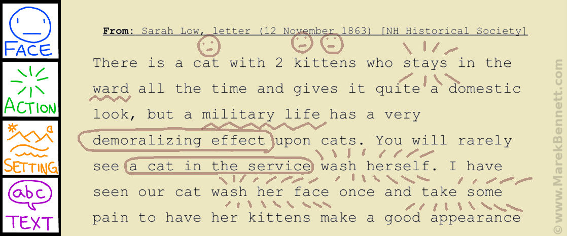 Hospital Cat 1: Finding F.A.S.T. in a Primary Source&nbsp;Text