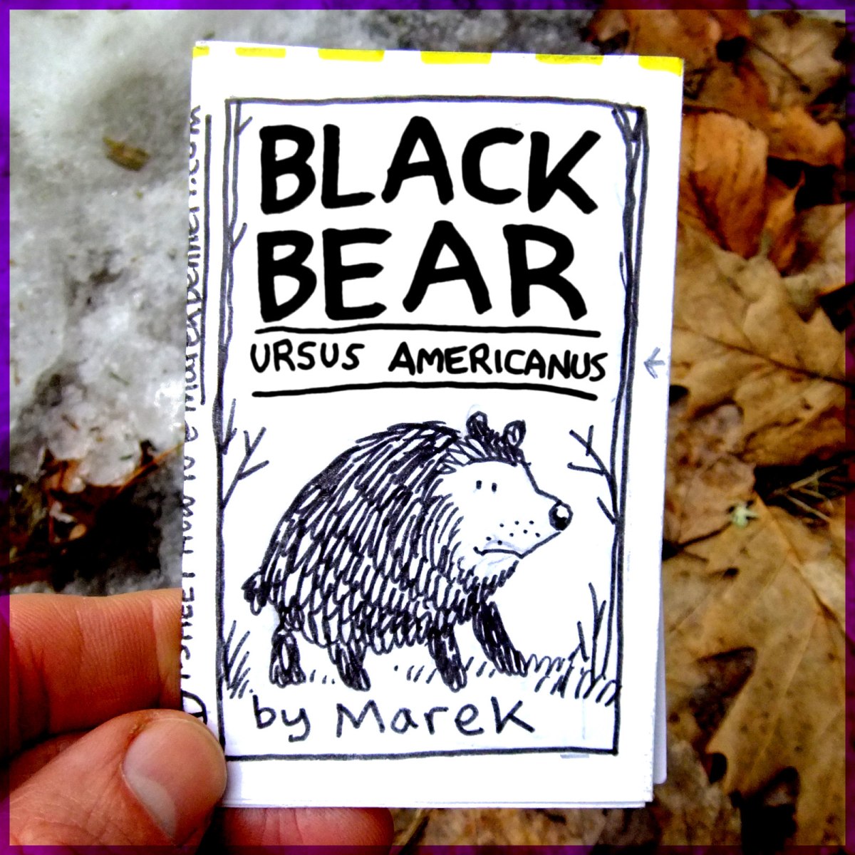 BLACK BEAR 📖 “Animal Comics”&nbsp;Demo