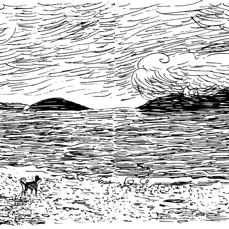 Maine Sketchbooks