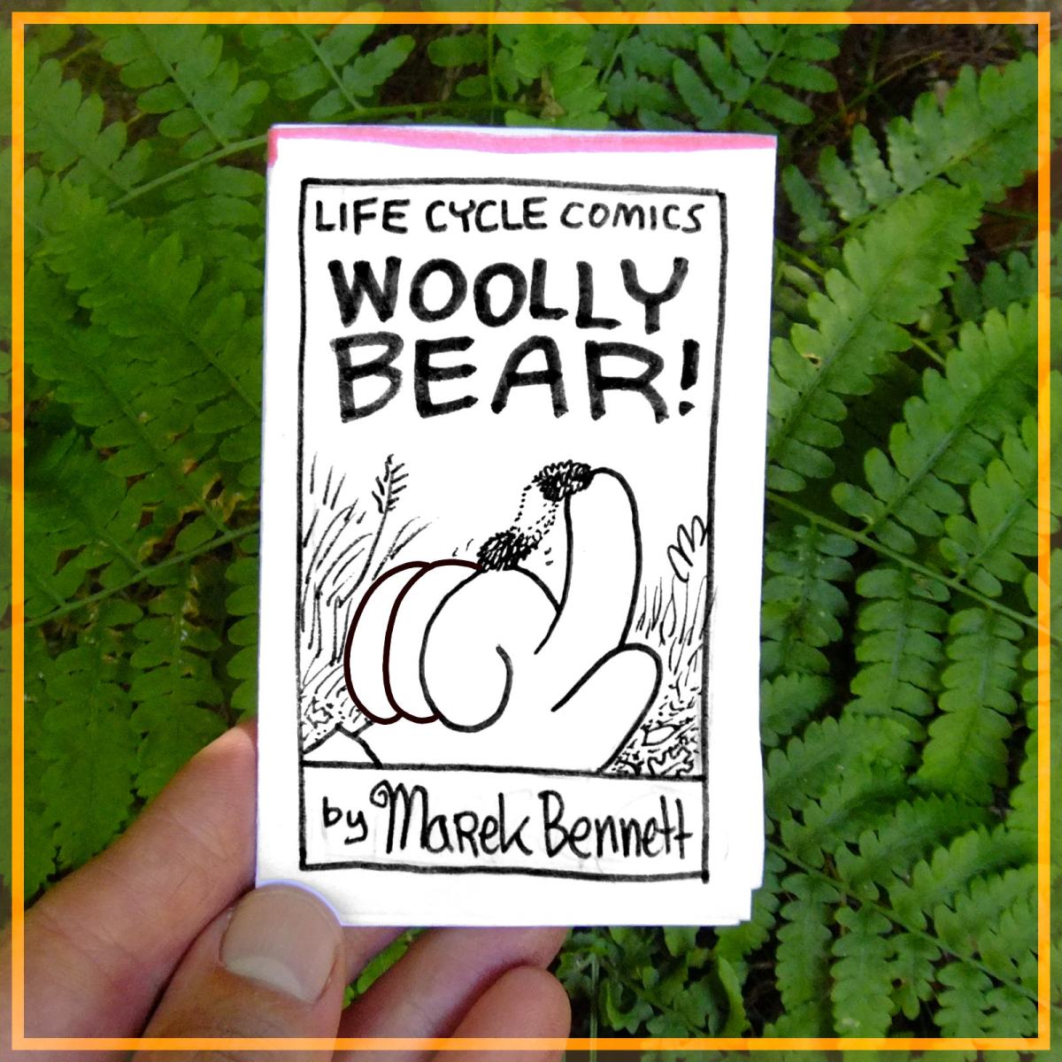 Woolly Bear! (Life Cycle&nbsp;Mini)