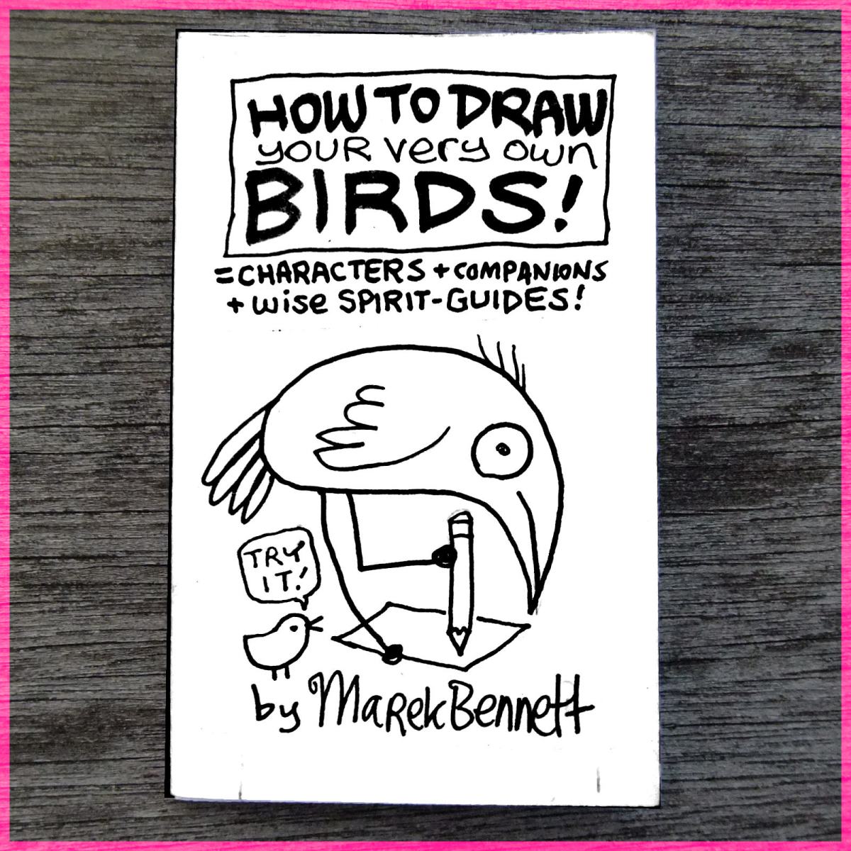 How to Draw Your Very Own&nbsp;BIRDS!