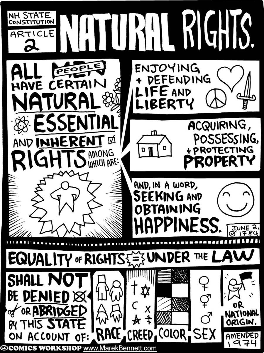 NH COMICStitution / ARTICLE 2: Natural&nbsp;Rights